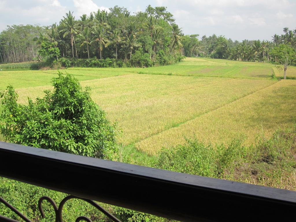 Frangipani Villas Ubud Eksteriør billede